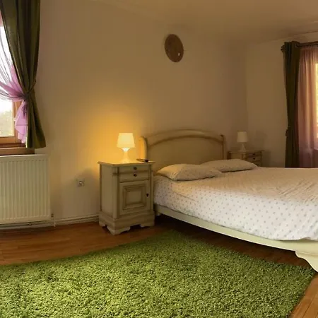 Riverside Villa Sovata